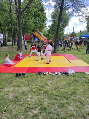Звёздочки Сэйдокай
