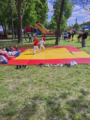 Звёздочки Сэйдокай