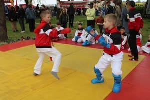 Звёздочки Сэйдокай