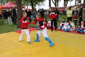 Звёздочки Сэйдокай