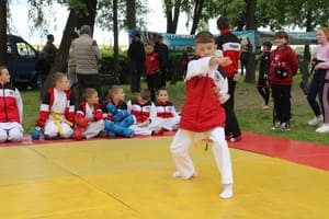 Звёздочки Сэйдокай