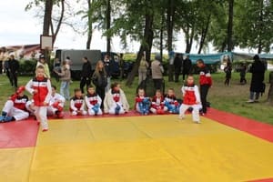Звёздочки Сэйдокай