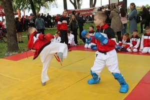 Звёздочки Сэйдокай