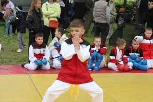 Звёздочки Сэйдокай