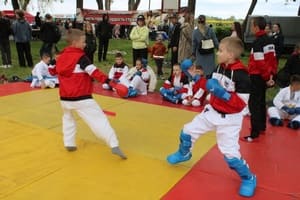 Звёздочки Сэйдокай