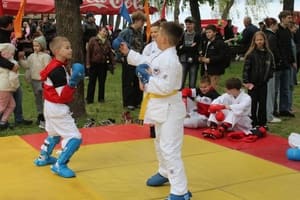 Звёздочки Сэйдокай