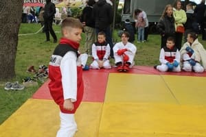 Звёздочки Сэйдокай