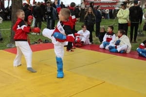 Звёздочки Сэйдокай