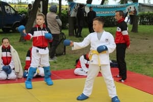Звёздочки Сэйдокай