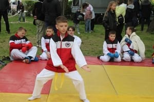 Звёздочки Сэйдокай
