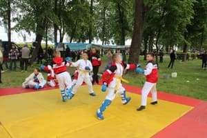Звёздочки Сэйдокай