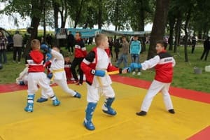 Звёздочки Сэйдокай