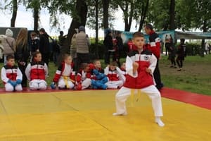 Звёздочки Сэйдокай