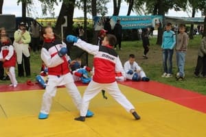 Звёздочки Сэйдокай