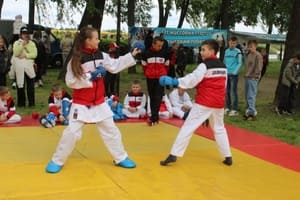 Звёздочки Сэйдокай