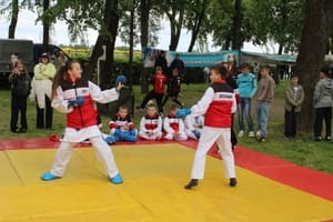 Звёздочки Сэйдокай
