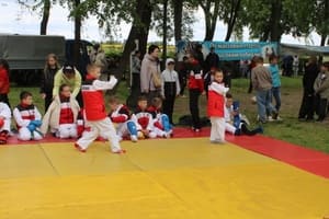 Звёздочки Сэйдокай