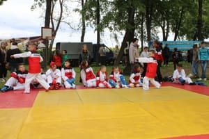 Звёздочки Сэйдокай