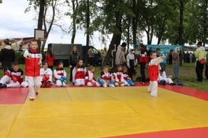 Звёздочки Сэйдокай