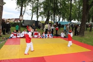 Звёздочки Сэйдокай