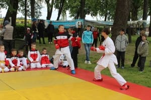 Звёздочки Сэйдокай