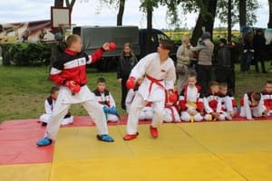 Звёздочки Сэйдокай