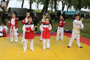 Звёздочки Сэйдокай