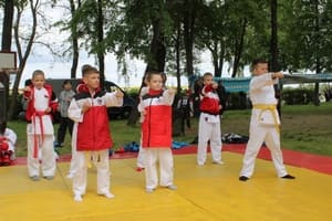Звёздочки Сэйдокай