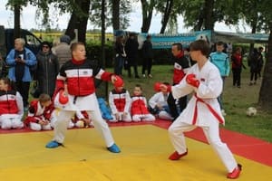 Звёздочки Сэйдокай