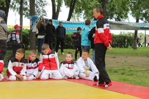 Звёздочки Сэйдокай