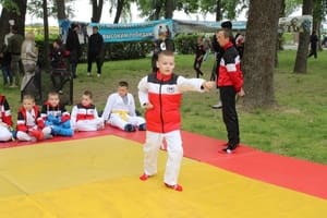 Звёздочки Сэйдокай
