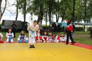 Звёздочки Сэйдокай