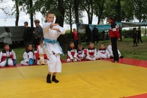 Звёздочки Сэйдокай