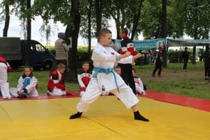 Звёздочки Сэйдокай