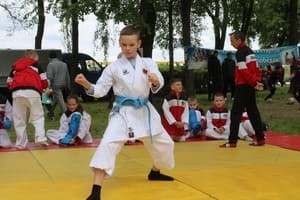 Звёздочки Сэйдокай