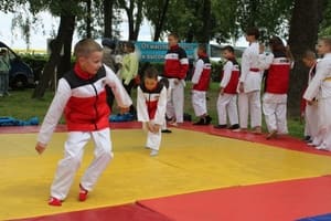 Звёздочки Сэйдокай