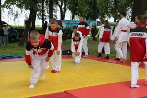 Звёздочки Сэйдокай
