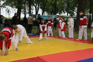 Звёздочки Сэйдокай