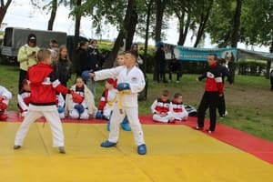 Звёздочки Сэйдокай