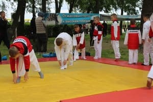 Звёздочки Сэйдокай