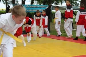Звёздочки Сэйдокай