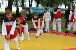 Звёздочки Сэйдокай