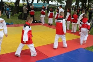 Звёздочки Сэйдокай