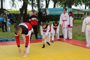 Звёздочки Сэйдокай