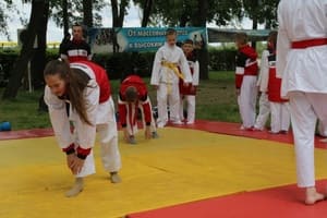Звёздочки Сэйдокай