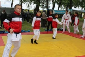 Звёздочки Сэйдокай