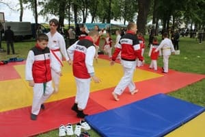 Звёздочки Сэйдокай