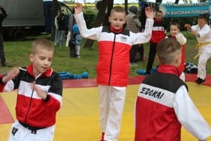 Звёздочки Сэйдокай