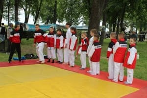 Звёздочки Сэйдокай