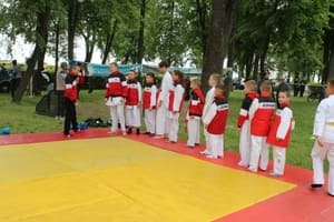 Звёздочки Сэйдокай